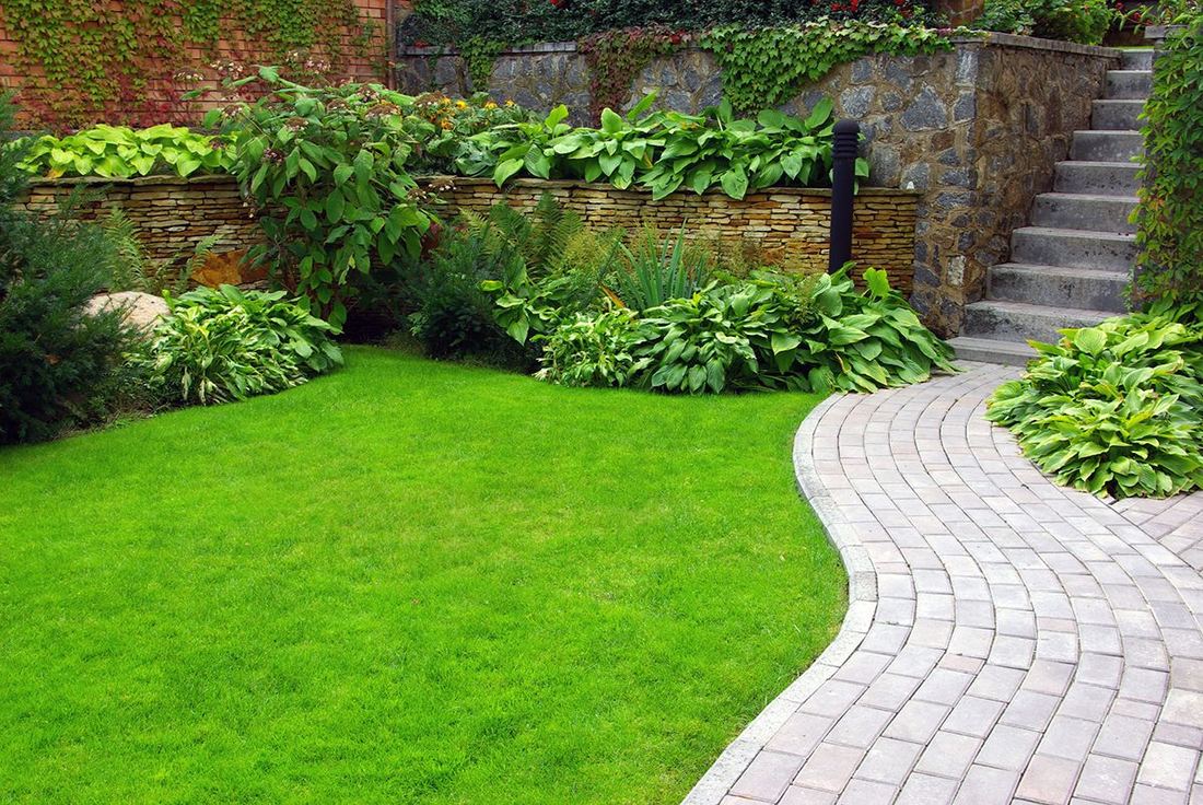 Aangelegde tuin met strak gazon, een gemetselde muur met vaste planten en een gebogen pad van gebakken klinkers