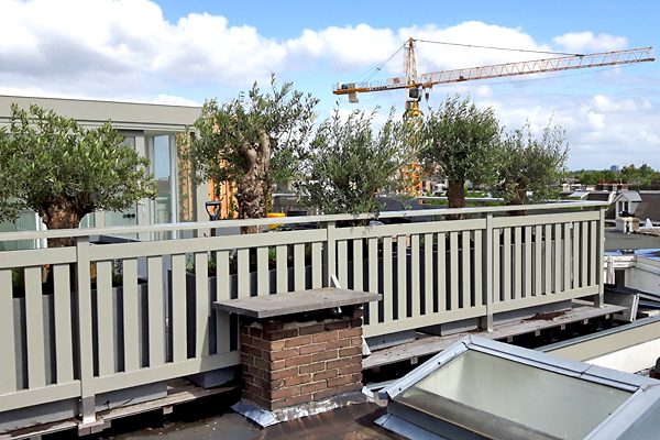 Olijfbomen in plantenbakken op een pas aangelegde daktuin