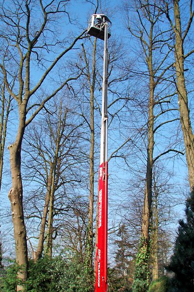 Hoge telescoophoogwerker tussen kale bomen tijdens kapwerkzaamheden