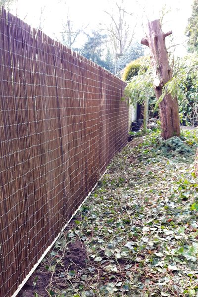 Afgeronde rietmatschutting langs de erfgrens van een tuin