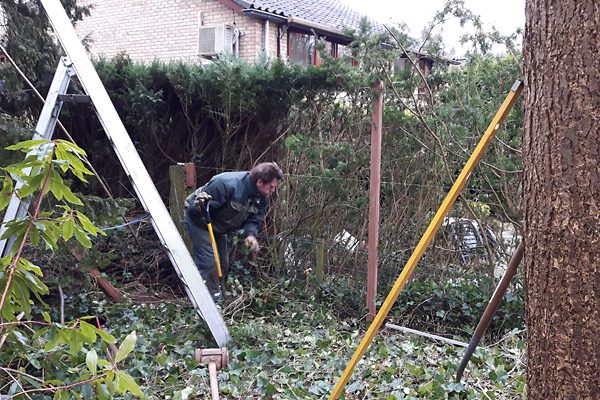 Medewerker haalt de oude begroeiing en schuttingpalen weg voor een nieuwe erfafscheiding